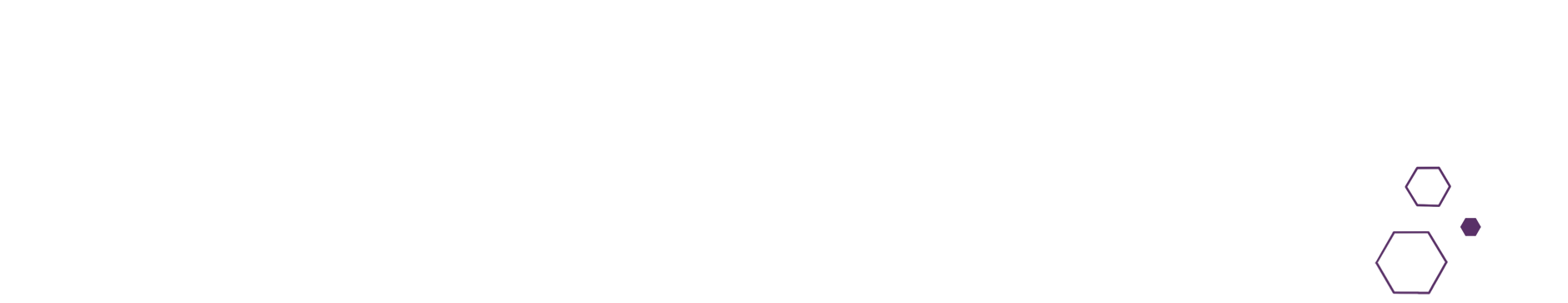 Hexagonal decorative pattern – right side