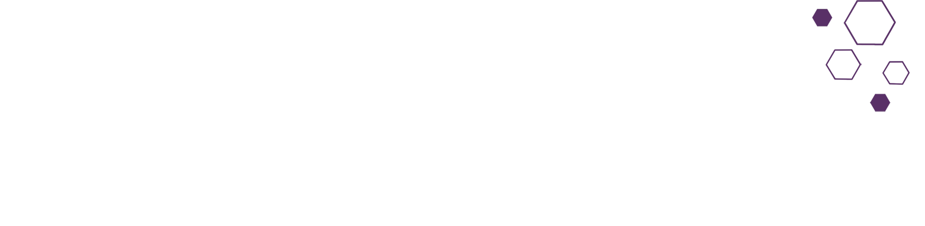 Hexagonal decorative pattern – right side