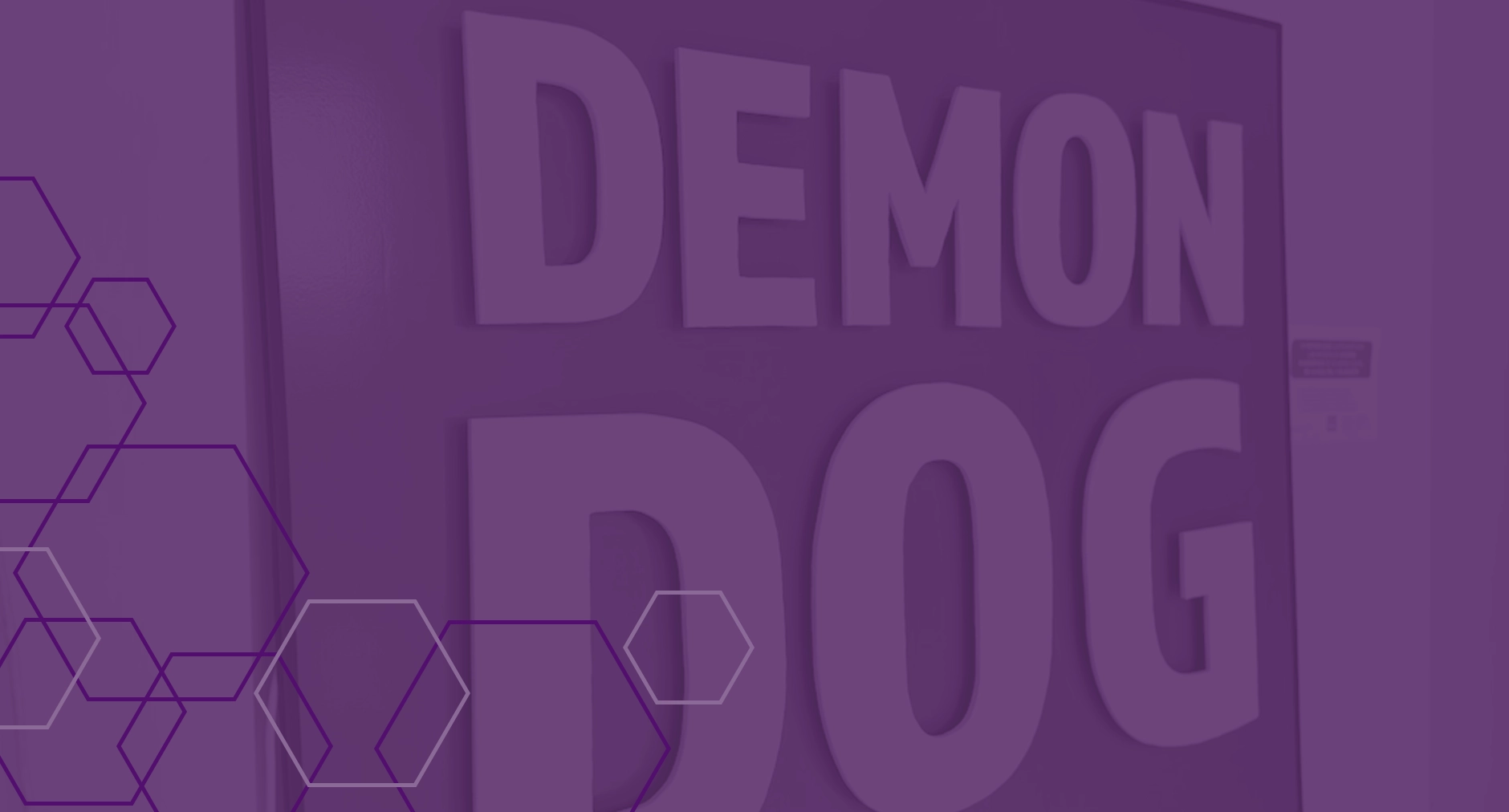 Demon Dog office wall signage with purple overlay and hexagonal pattern