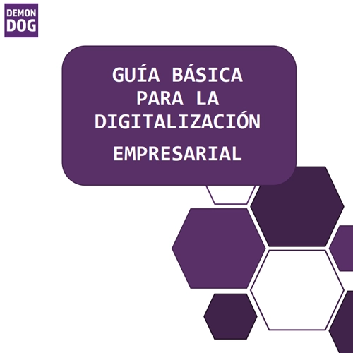 Cover of the "Basic Guide to Business Digitalization" by Demon Dog